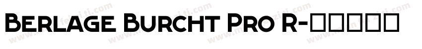 Berlage Burcht Pro R字体转换